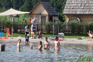 Čebelica zbira odgovore na nagradno vprašanje